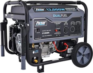 3. Pulsar 12000 Watt Dual Fuel Portable Generator